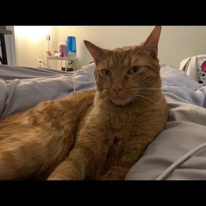 Meet your Posher, Christy